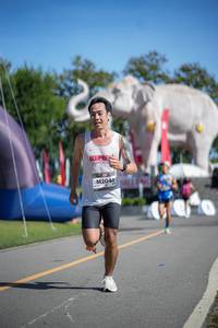 BIB: 
                            <button type="button" onclick="openModal(26542699)" class="btn btn-primary btn-sm float-right btn-popup" data-toggle="modal" data-target=".modal-high-quality">
                        <i class="fas fa-shopping-cart"></i> Add to Cart
                    </button>
                                            <button type="button" onclick="isThisMe(26542699, true)" class="btn btn-success btn-sm float-right btn-popup btn-isme hidden" data-toggle="tooltip" data-placement="bottom" title="นี่คือรูปของคุณใช่ไหม คลิกที่นี่เพื่อเอาเข้าอัลบั้ม">
                        <i class="fas fa-plus"></i> Add to album
                    </button>
                    <button type="button" onclick="isThisMe(26542699, false)" class="btn btn-warning btn-sm float-right btn-popup btn-isnotme hidden">
                        <i class="fas fa-ban"></i> Remove from album
                    </button>